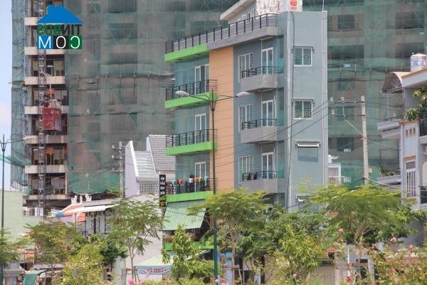 Ảnh Những ngôi nhà “siêu dị” trên con đường đẹp nhất Tp.HCM