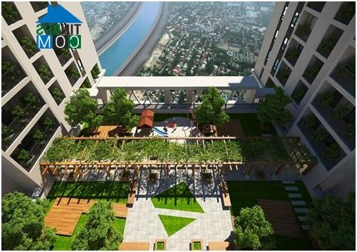 Ảnh Five Star Garden - giải nhiệt “cơn khát” căn hộ trung tâm nội đô