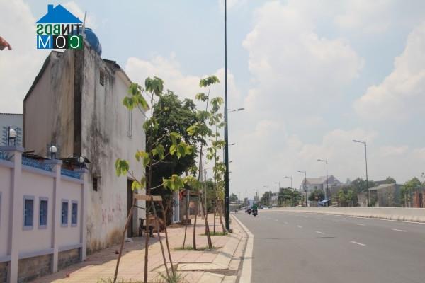 Ảnh Những ngôi nhà “siêu dị” trên con đường đẹp nhất Tp.HCM