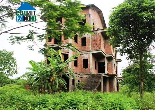 Ảnh Khu biệt thự Phương Viên: Tiền tỷ chôn vùi trong cỏ dại