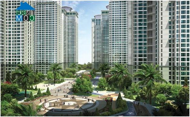 Ảnh Goldmark City, vì sao hấp dẫn?