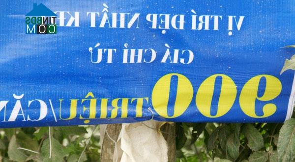 Ảnh Hà Nội: Rầm rộ rao bán nhà giá rẻ