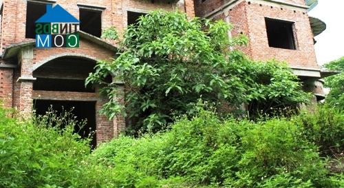 Ảnh Khu biệt thự Phương Viên: Tiền tỷ chôn vùi trong cỏ dại