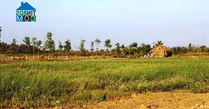 Ảnh Đất nền khu đông Tp.HCM: Dân mua để dành hoặc đầu cơ