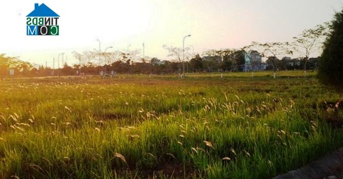 Lô đất này đã được bán hết trong năm 2014 nhưng hiện vẫn đang bỏ hoang. 