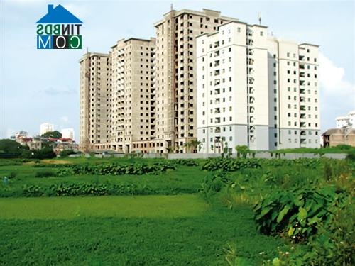 Ảnh Sẽ tăng cường thanh tra lĩnh vực đất đai trong năm 2015