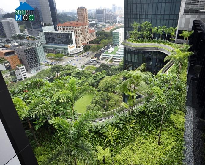 Ảnh PARKROYAL – Khách sạn vườn đầu tiên ở Singapore