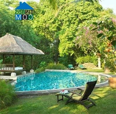 Ảnh Bể bơi phong cách Bali