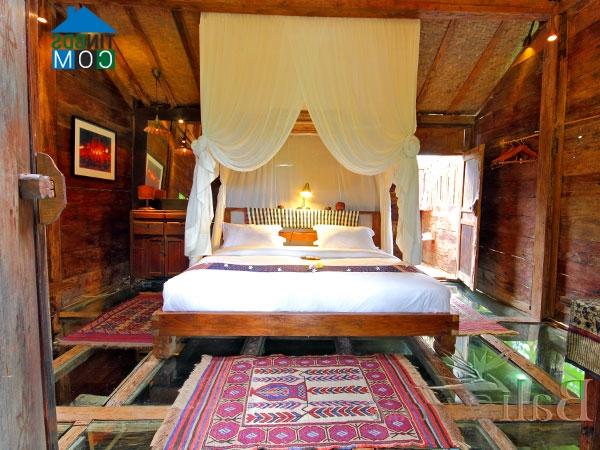 Ảnh Trở về sơ thủy cùng Bambu Indah