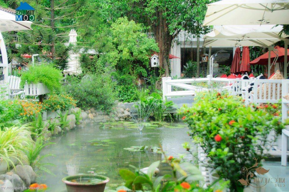 Ảnh Không gian tuyệt đẹp của "Cafe Khúc Mùa Thu"