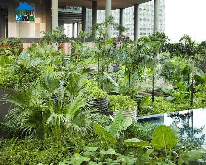 Ảnh PARKROYAL – Khách sạn vườn đầu tiên ở Singapore