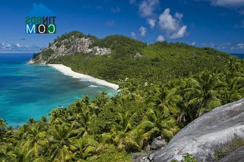 Ảnh Seychelles Safari Retreat - Khu nghỉ dưỡng độc đáo giữa biển