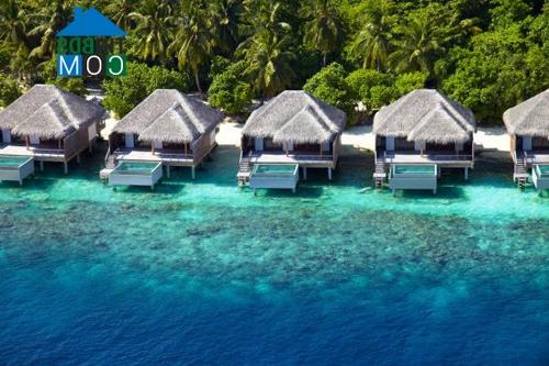 Ảnh Độc đáo thiết kế resort ở thiên đường nghỉ dưỡng Maldives