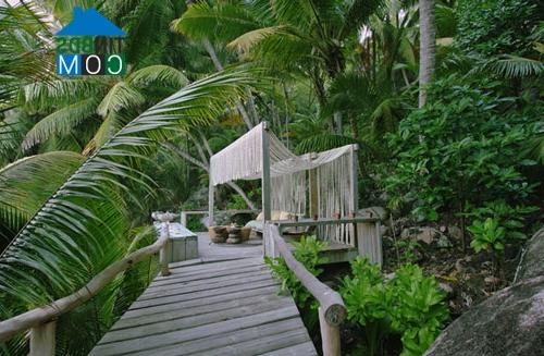 Ảnh Seychelles Safari Retreat - Khu nghỉ dưỡng độc đáo giữa biển