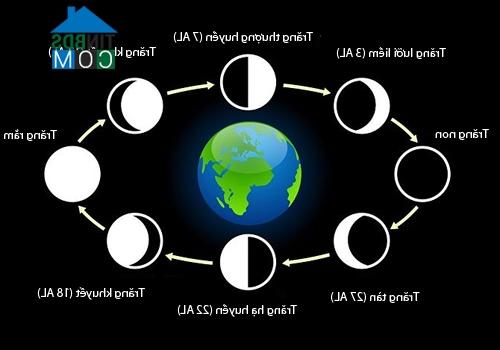 Chu kỳ chuyển biến của mặt trăng