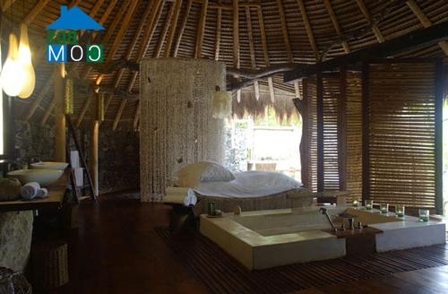 Ảnh Seychelles Safari Retreat - Khu nghỉ dưỡng độc đáo giữa biển