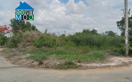 Một góc khu đất 23,2ha (xã Nhơn Đức, Nhà Bè) đang được bán đấu giá để tạo nguồn vốn xây dựng nông thôn mới. 