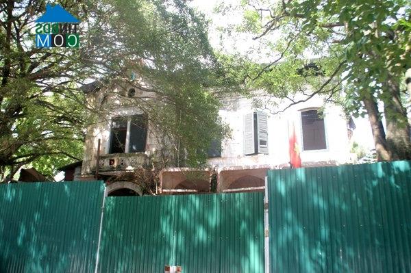 Ảnh Cận cảnh biệt thự Pháp bỏ hoang giữa lòng Hà Nội