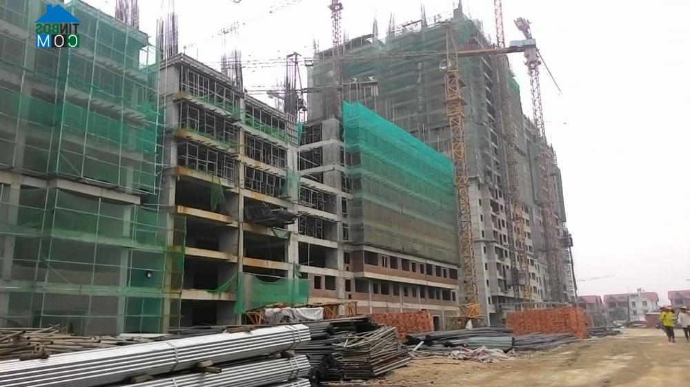 Ảnh Hà Nội: Chung cư giá rẻ vẫn phổ biến tiền chênh, giá rục rịch tăng 5%