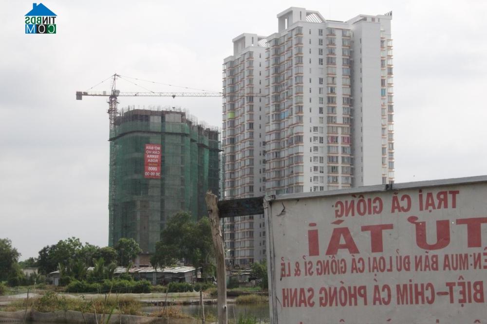 Dự án Terra Rosa hiện đang thi công tầng 15