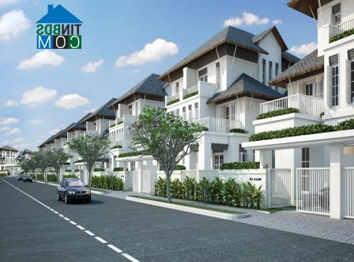 Ảnh Phân khúc đất nền hút khách và nguy cơ “bong bóng” BĐS