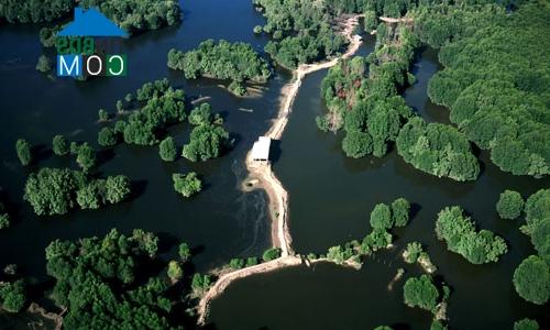 Ảnh Tp.HCM chọn Vingroup là nhà đầu tư triển khai tiếp dự án KĐT Cần Giờ