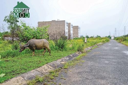 Ảnh Nhiều nhà đầu tư BĐS nếm trái đắng ở Nhà Bè