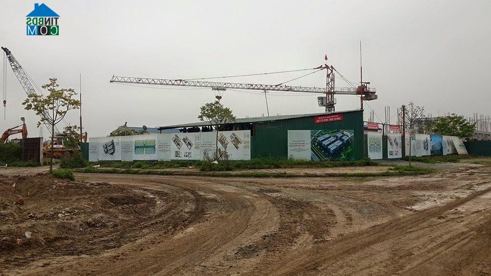 Đất nền dự án đã thu hút nhà đầu tư quay trở lại