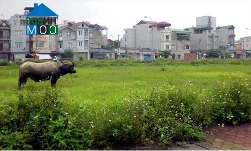 Ảnh Khi nhà đất bị bỏ xó