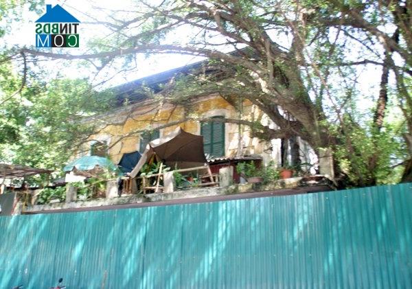 Ảnh Cận cảnh biệt thự Pháp bỏ hoang giữa lòng Hà Nội