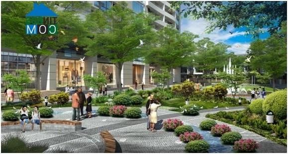 Ảnh Tràng An Complex "nóng" lên cùng xu hướng chung của căn hộ cao cấp