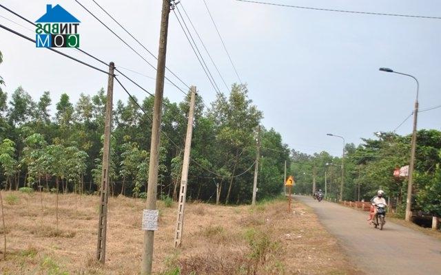 Ảnh Đất nền quanh dự án sân bay Long Thành "được thể" tăng giá