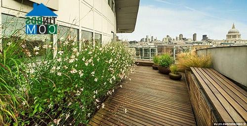 Ảnh Ngắm căn hộ penthouse sang trọng giữa trung tâm London