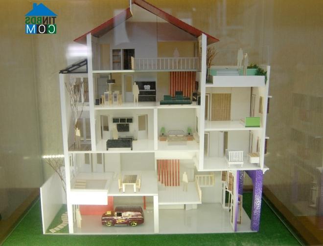 Ảnh Nhà phố "bọt biển" ngập tràn ánh sáng thiên nhiên