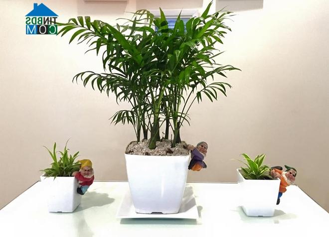 Ảnh Căn hộ thoáng rộng, sạch sẽ dù nhà có em bé