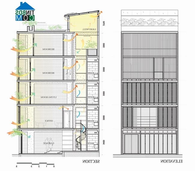Ảnh Nhà phố hòa hợp với tự nhiên