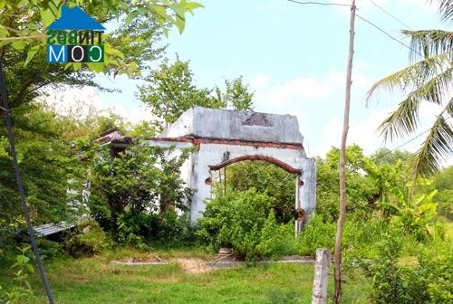 Ảnh Sau 11 năm, công viên nửa tỷ vẫn là bãi đất hoang