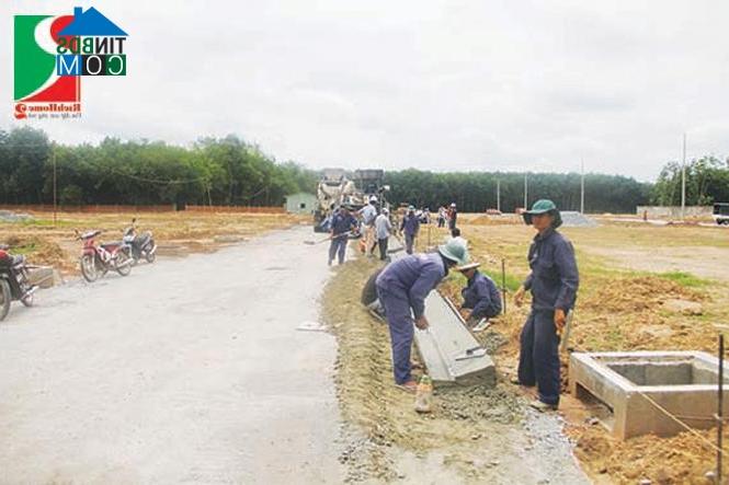 Ảnh Nhà phố RichHome 2 "cháy" hàng