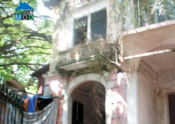 Ảnh Cận cảnh biệt thự Pháp bỏ hoang giữa lòng Hà Nội