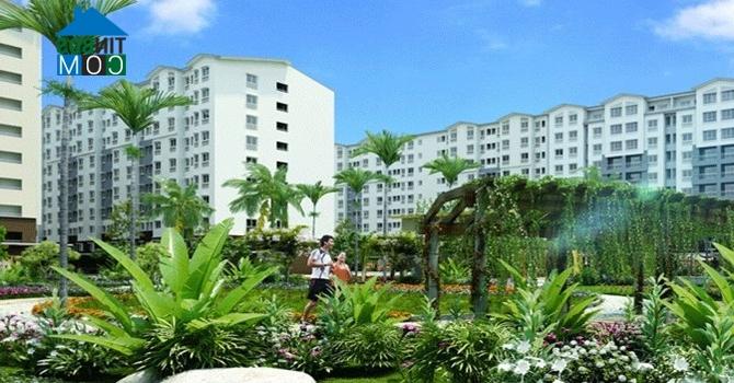 Ảnh Tp.HCM: Thời thống trị của căn hộ “hạng C”