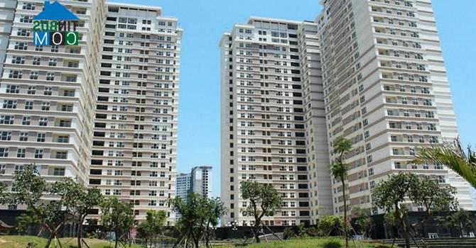 Ảnh Giá căn hộ chung cư đã giảm bao nhiêu so với mức giá năm 2008?