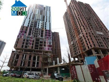 Ảnh Sông Đà Thăng Long muốn được tiếp tục "trục vớt" Usilk City