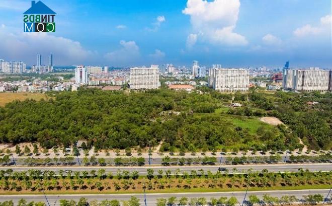 Ảnh Tp.HCM: Dự án BĐS “chết” nhiều năm, thị trường M&A bùng nổ