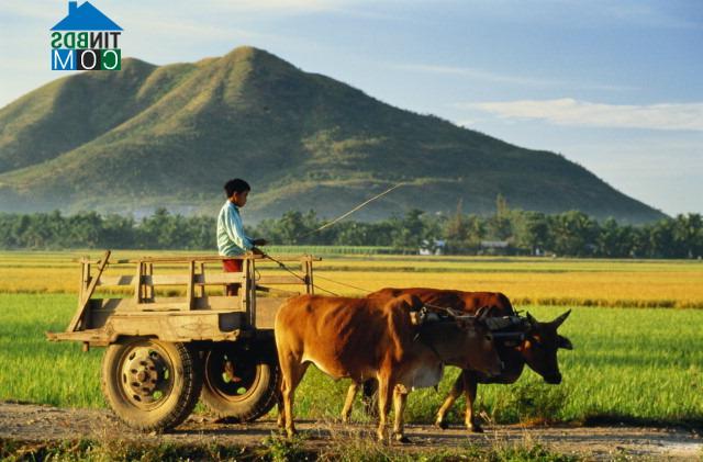 Ảnh Trung Quốc: Gần một nửa nông dân bị thu hồi đất