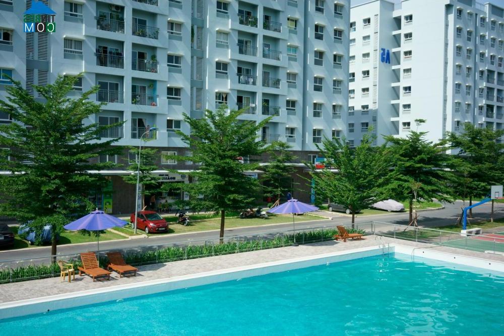  Bể bơi tại Dự án EHome 3