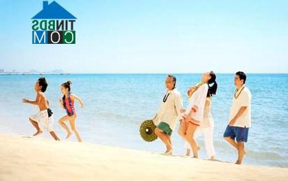 Ảnh Đà Nẵng: Thị trường bất động sản đất nền có thực sự "hot"?