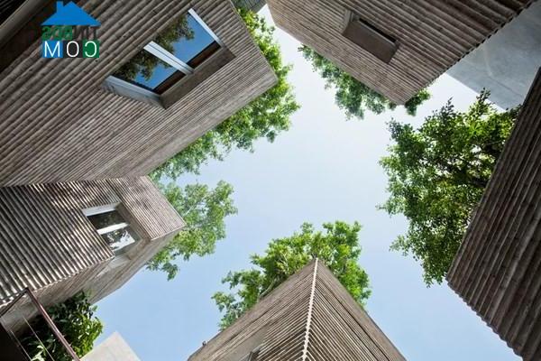 “House for trees” được chia thành 5 khối trụ chính