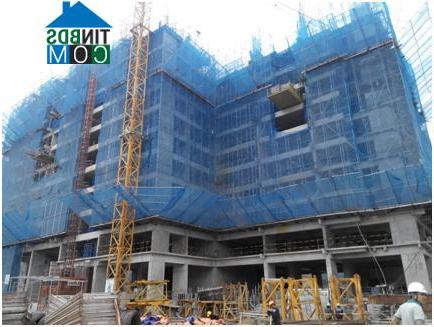 Ảnh Đột nhập tổ hợp căn hộ "tai tiếng" của chủ đầu tư Việt Hân
