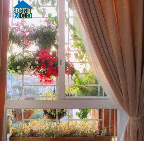 Ngôi nhà đẹp và lãng mạn hơn nhiều với những giỏ hoa ngoài cửa sổ