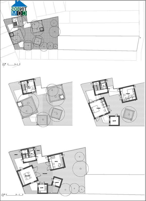 Bản vẽ thiết kế không gian bên trong House for trees